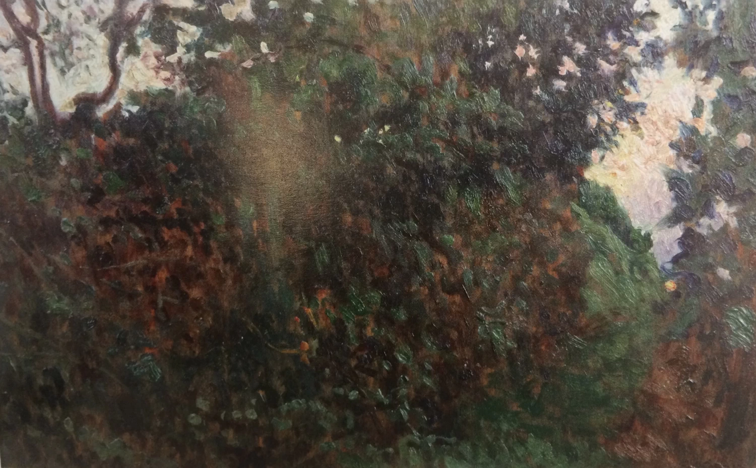 Siepe - Museo Giorgio Kienerk, Fauglia, Pisa